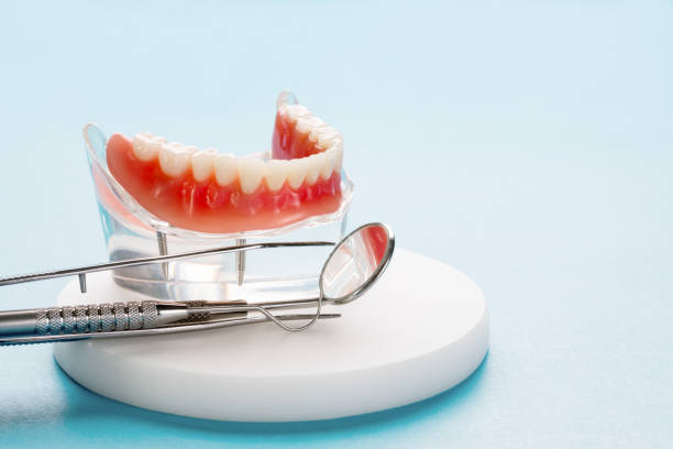 Best Dental Exams and Cleanings  in Madison, OH